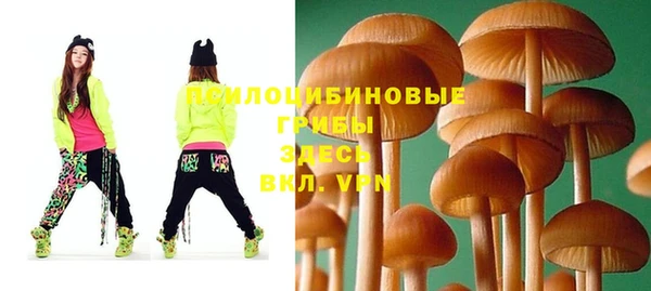 герыч Алзамай