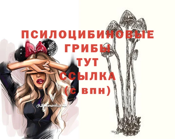 герыч Алзамай